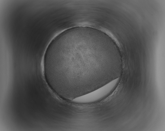X0000102401032200808011542