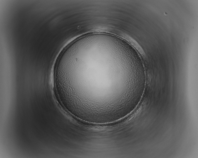 X0000102401036200808011542