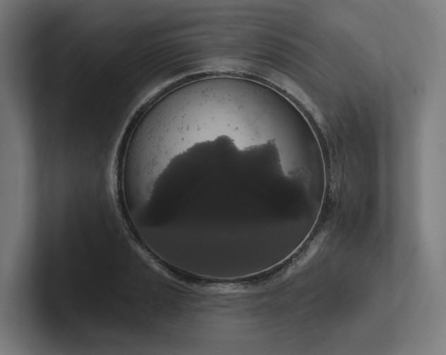 X0000102401037200808011542