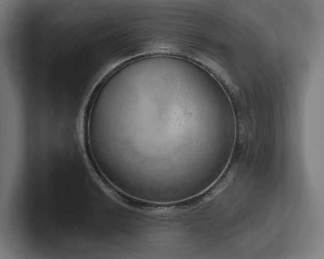 X0000102401038200808011542