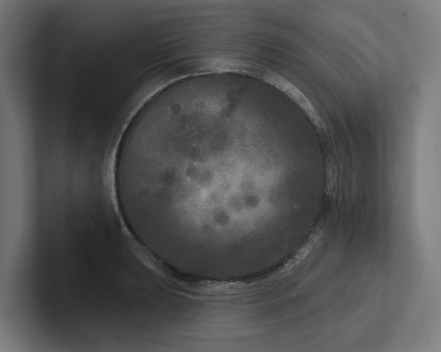 X0000102401039200808011542