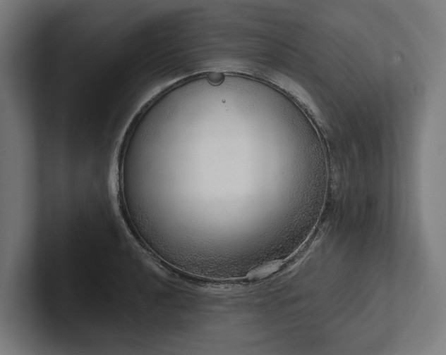 X0000102401040200808011542