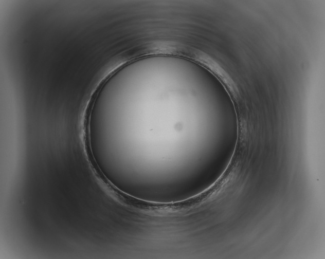 X0000102401042200808011542