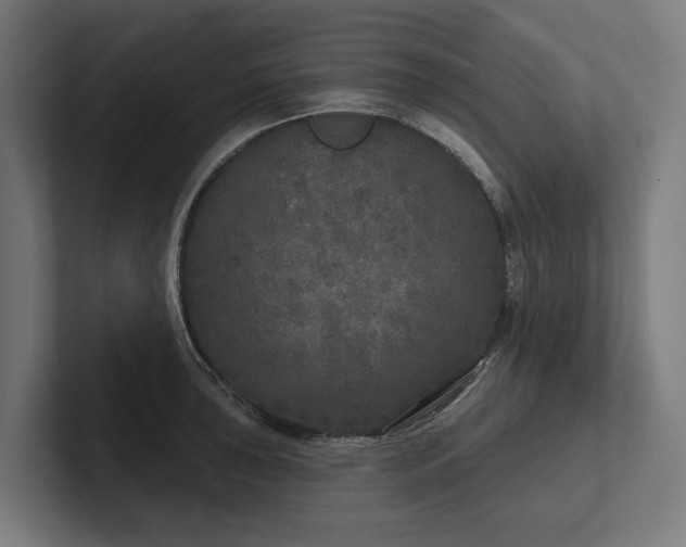 X0000102401043200808011542
