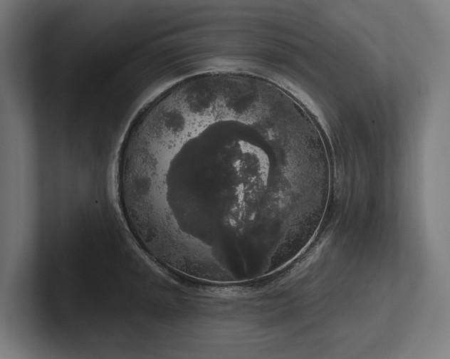 X0000102401045200808011542
