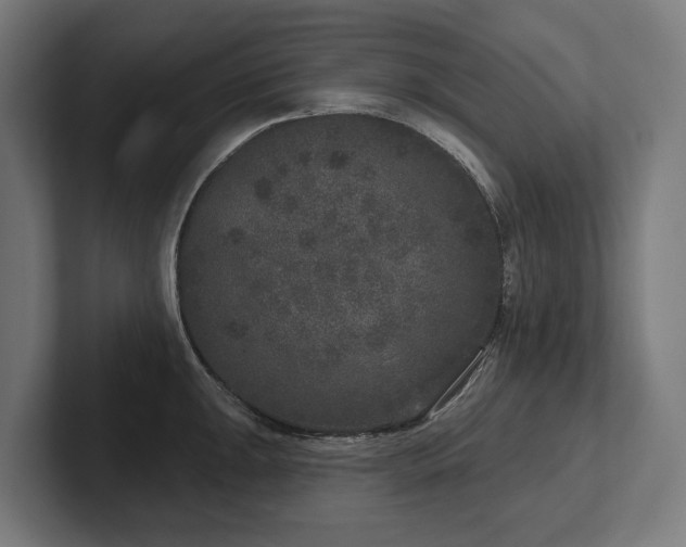 X0000102401047200808011542