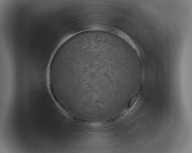 X0000102401048200808011542