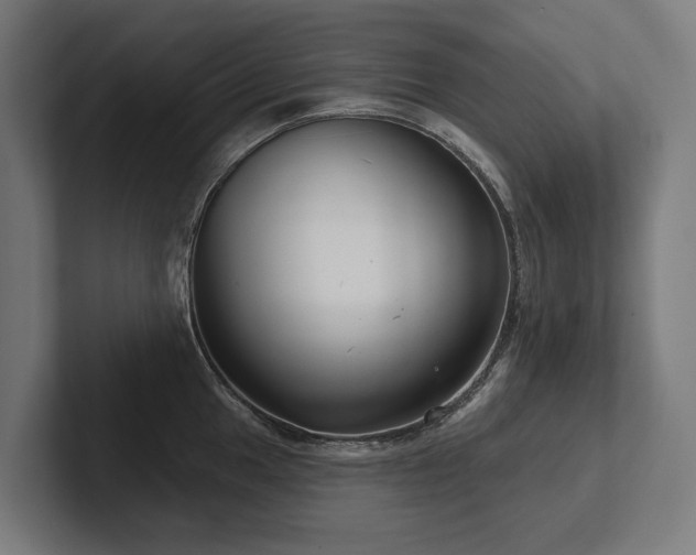 X0000102401049200808011542