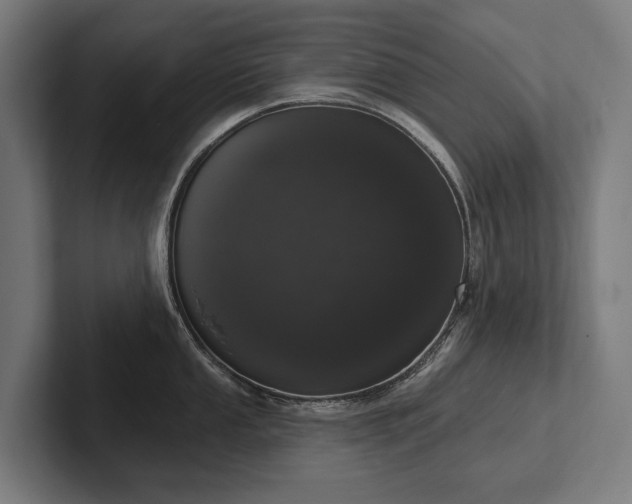 X0000102401053200808011543