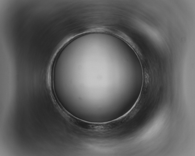 X0000102401054200808011543