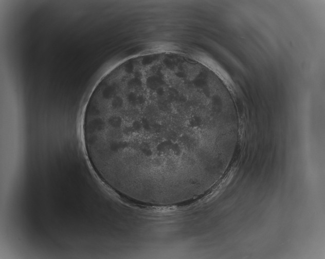 X0000102401055200808011543