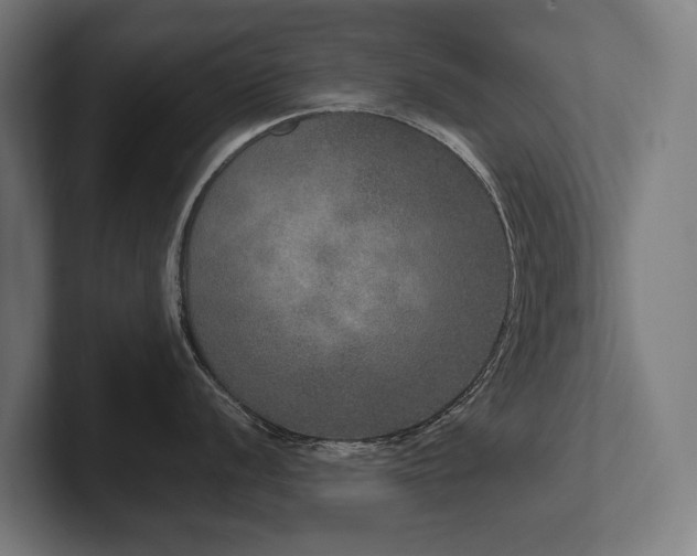 X0000102401056200808011543