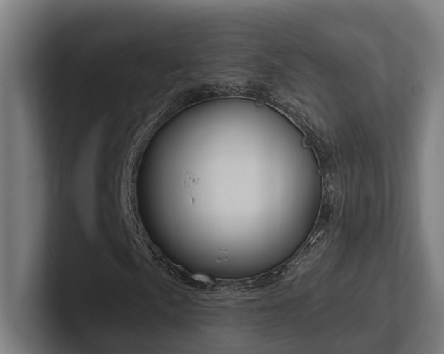 X0000102401057200808011542