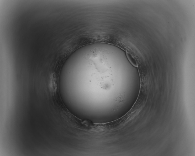 X0000102401058200808011542