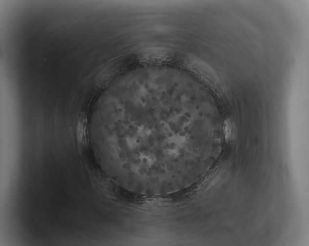 X0000102401059200808011542