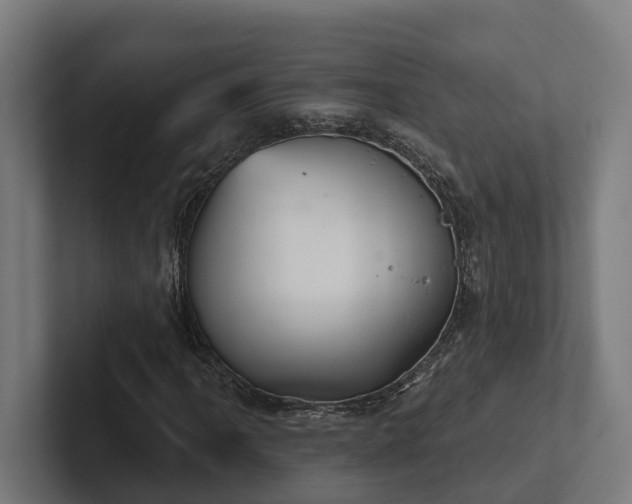 X0000102401061200808011542