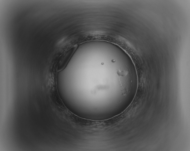 X0000102401062200808011542