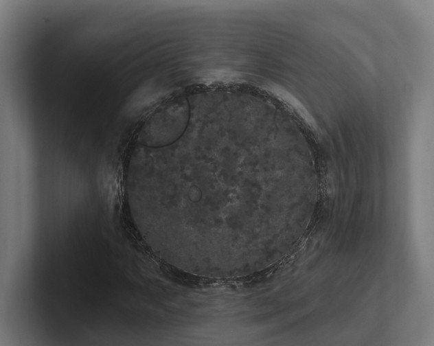 X0000102401063200808011542