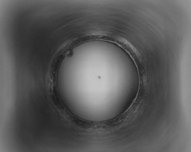 X0000102401064200808011542