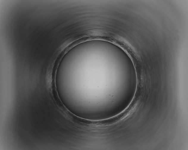 X0000102401065200808011542