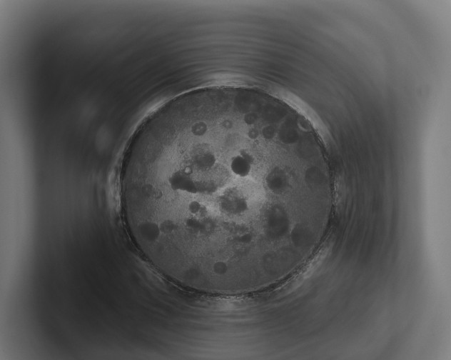 X0000102401067200808011542