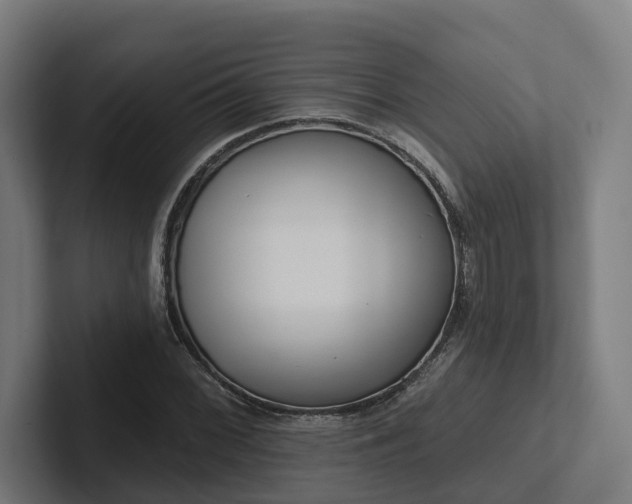X0000102401068200808011542