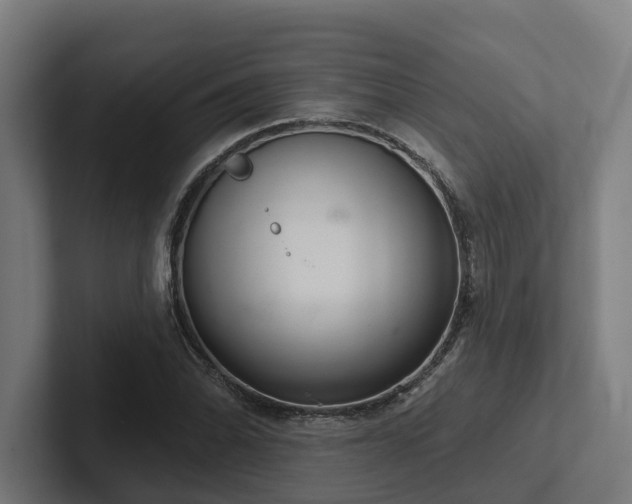 X0000102401070200808011542