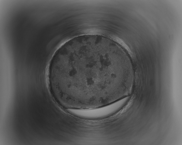 X0000102401071200808011542