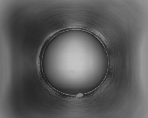 X0000102401072200808011542
