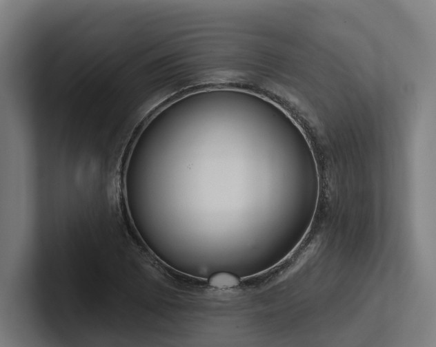 X0000102401073200808011542