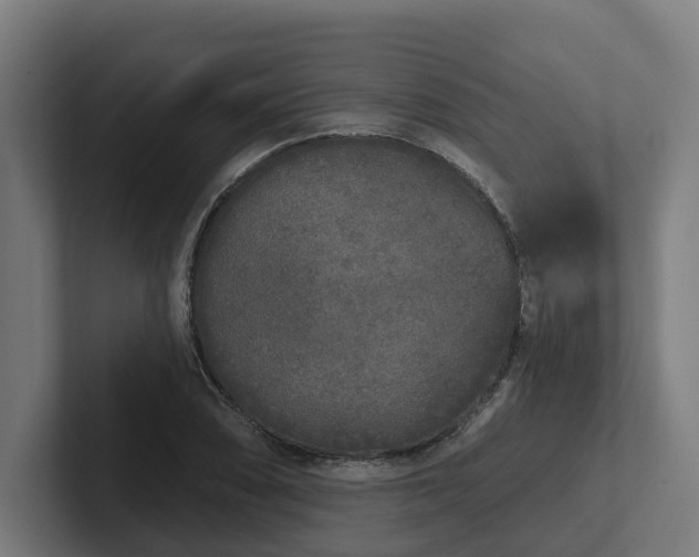 X0000102401074200808011542
