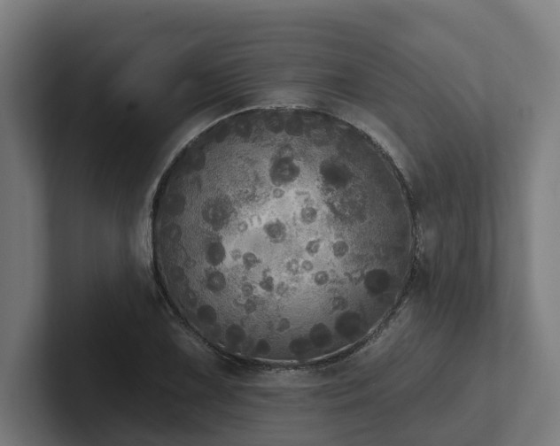 X0000102401075200808011542