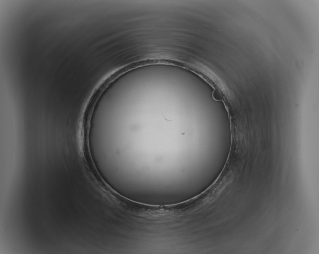 X0000102401076200808011542