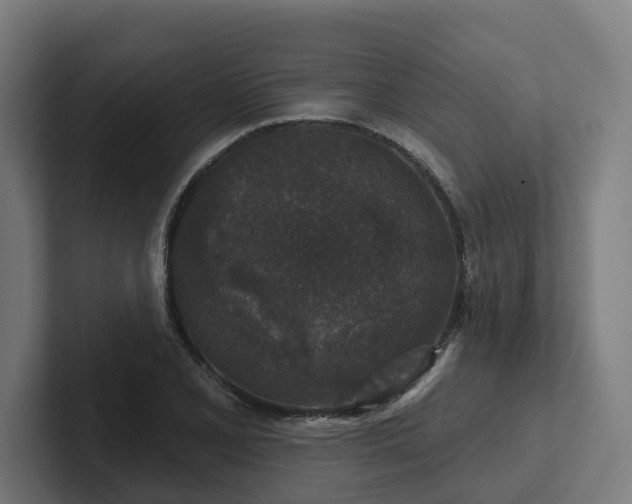 X0000102401077200808011542