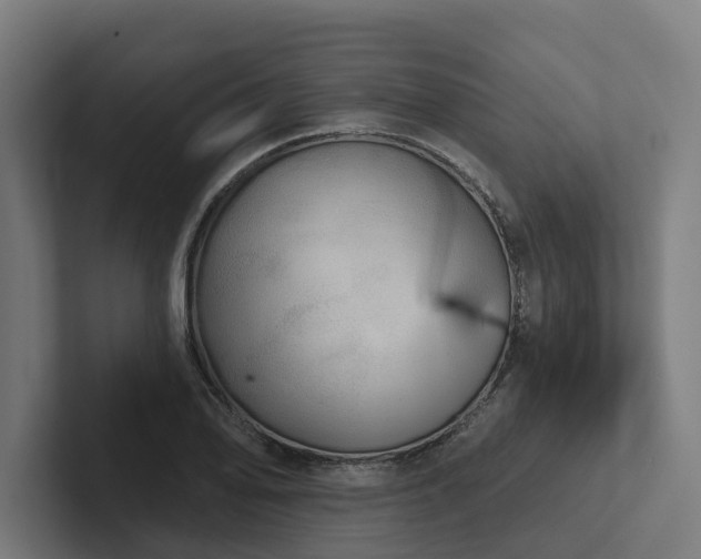 X0000102401078200808011542