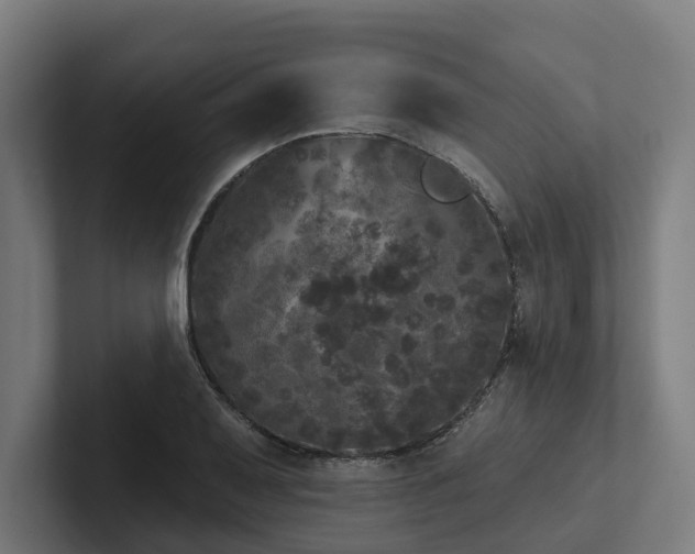 X0000102401079200808011542