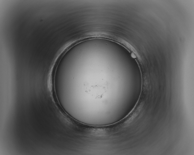 X0000102401082200808011542