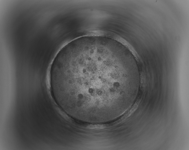 X0000102401083200808011542