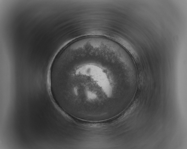 X0000102401084200808011542