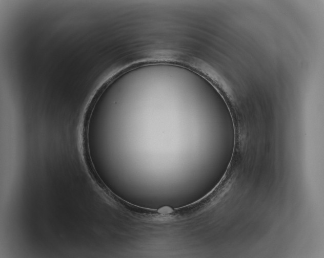 X0000102401085200808011542