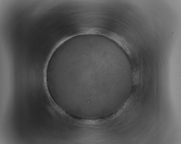 X0000102401086200808011542