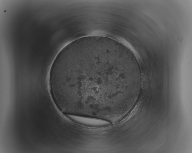 X0000102401087200808011542