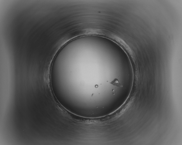 X0000102401089200808011542