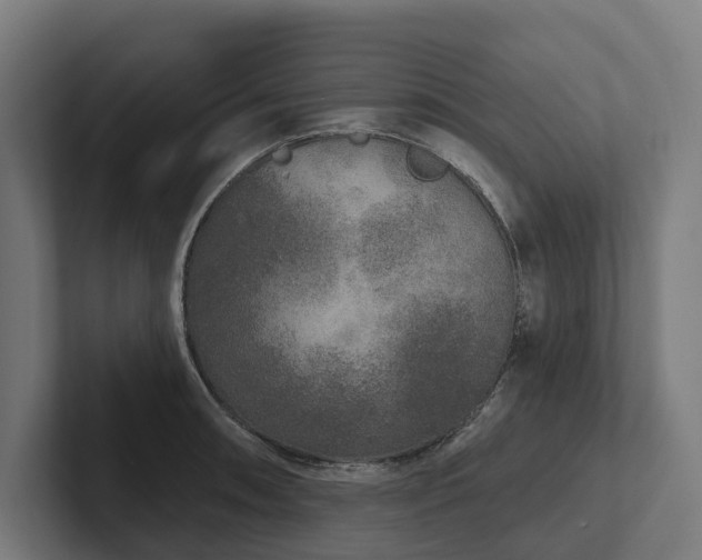 X0000102401090200808011542