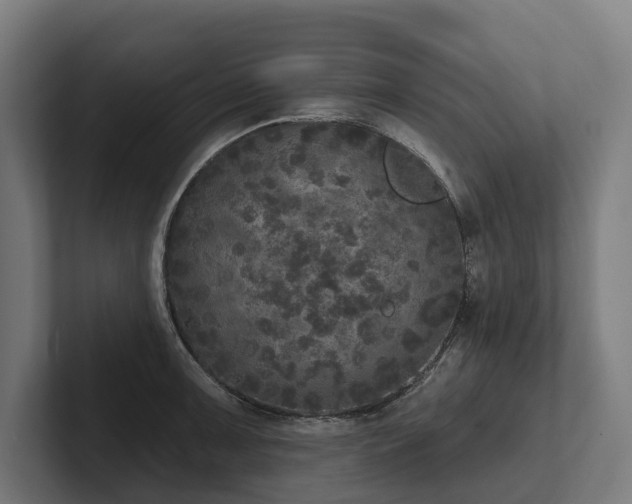 X0000102401091200808011542