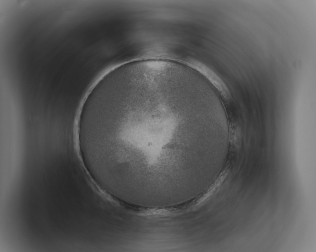 X0000102401094200808011541
