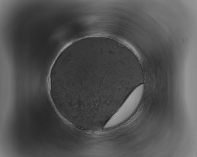 X0000102401095200808011541
