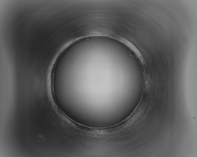 X0000102401096200808011541