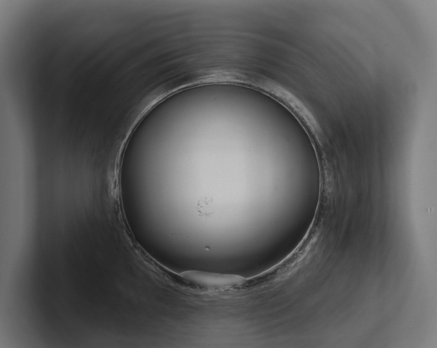 X0000102401097200808011541