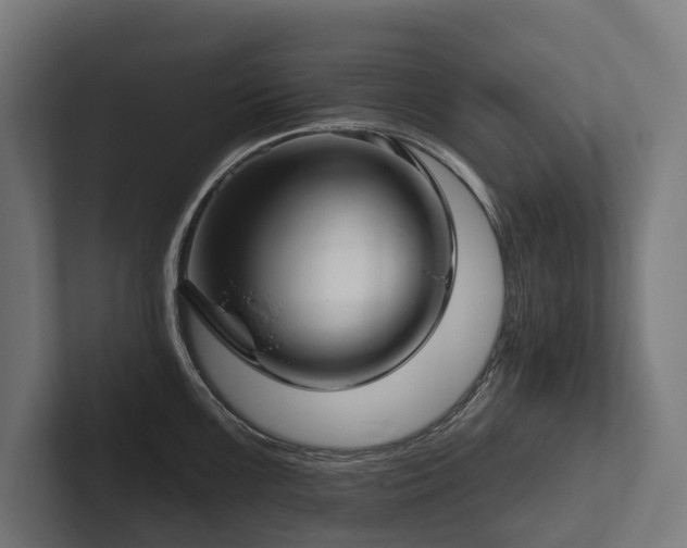 X0000102401099200808011541